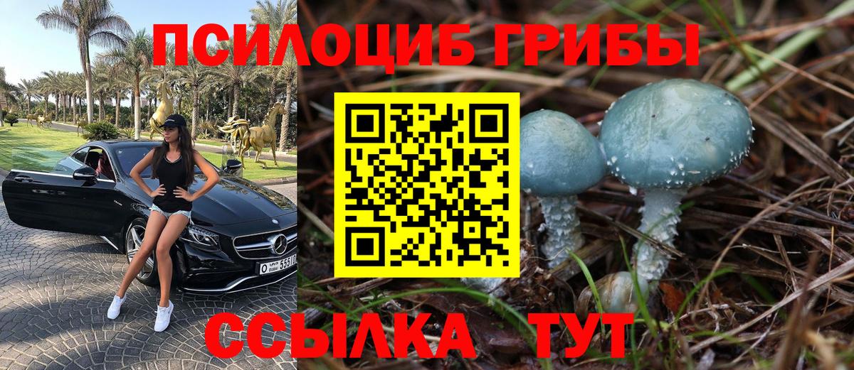 Псилоцибиновые грибы GOLDEN TEACHER  Вход с VPN  Чусовой 